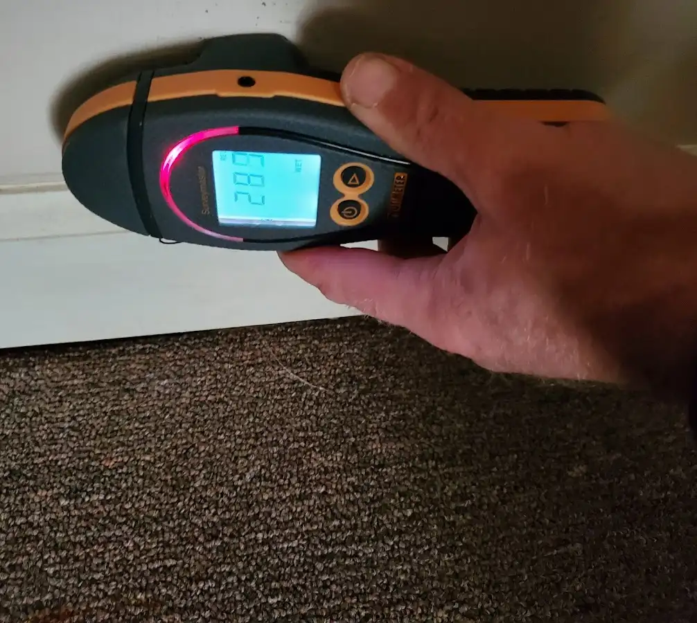 Moisture detection at baseboard during Mold Inspection & Testing in Hatfield